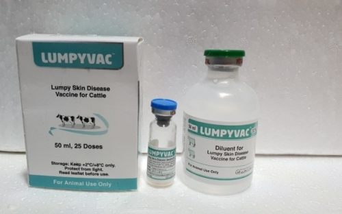 Vắc-xin ngừa viêm da, nổi cục Lumpyvac