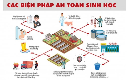  XÂY DỰNG HỆ THỐNG PHÒNG DỊCH TỔNG HỢP (AN TOÀN SINH HỌC)