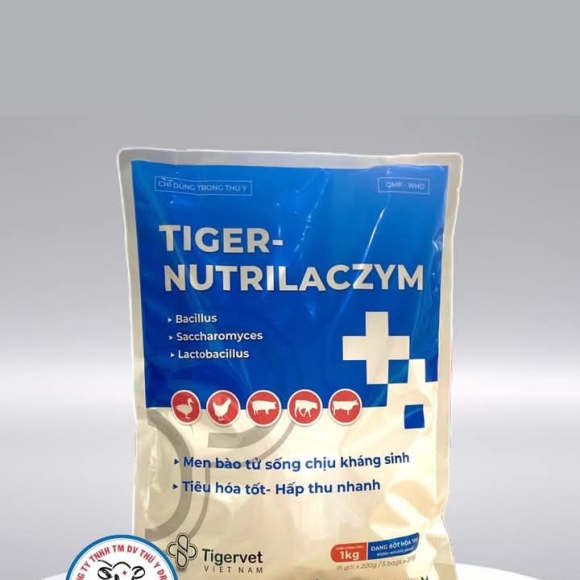 TIGER-NUTRILACZYM - MEN BÀO TỬ SỐNG CHỊU KHÁNG SINH, TIÊU HOÁ TỐT, HẤP THU NHANH 
