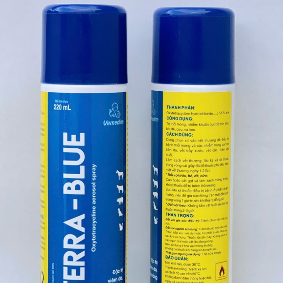 TERRA-BLUE - ĐẶC TRỊ VÊM DA, THỐI MÓNG 