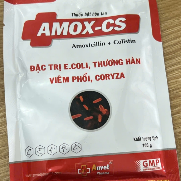 AMOX-CS - ĐẶC TRỊ E.COLI, THƯƠNG HÀN, VIÊM PHỔI, CORYZA