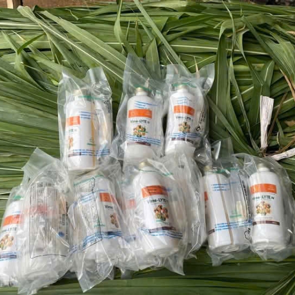 VIME-LYTE iv - TĂNG LỰC, CHỐNG SUY NHƯỢC, PHỤC HỒI NHANH SAU BỆNH 