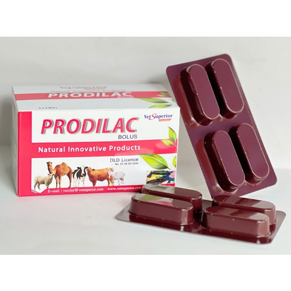 PRODILAC - MEN TIÊU HOÁ GIÚP CẢI THIỆN HỆ TIÊU HOÁ, HỖ TRỢ ĐIỀU TRỊ TIÊU CHẢY, TĂNG SẢN LƯỢNG SỮA,...
