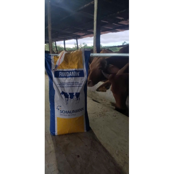 RINDAMIN MLF - Vitamin khoáng cho bò , dê , cừu ...