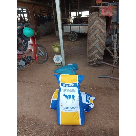 RINDAMIN MLF - Vitamin khoáng cho bò , dê , cừu ...